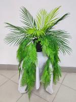 Ампельное растение папоротник с пальмовым листом В30см
