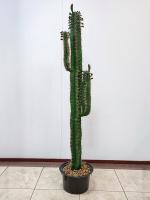 Кактус В150см