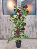Роза кустовая Красная В140см 08852
