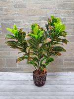 Искусственное растение Кротон цветной Н90