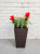 Кактус круглый Эхинокактус Цветущий В37/Д25/17см Кактус круглый Эхинокактус Цветущий В37/Д25/17см