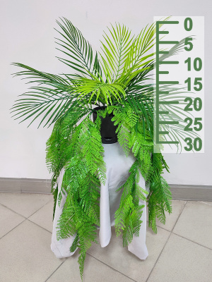 Ампельное растение папоротник с пальмовым листом В30см